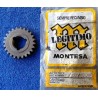 PIÑON ORIGINAL MONTESA TEXAS / SCORPION 250 ( MODELO 24 ) REF 2464.055