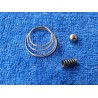 CONJUNTO MUELLES SELECTOR COAT 25 C Y 49. RECUPERADO